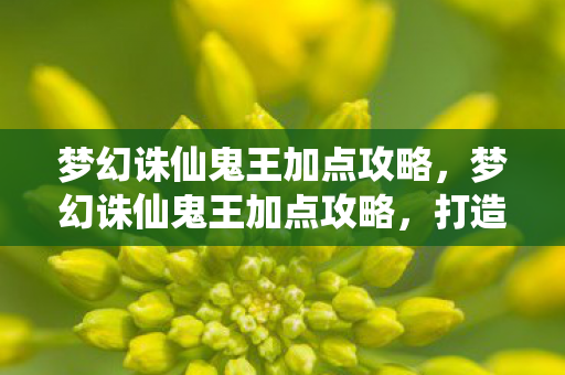 梦幻诛仙鬼王加点攻略，梦幻诛仙鬼王加点攻略，打造最强鬼王角色