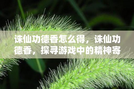 诛仙功德香怎么得，诛仙功德香，探寻游戏中的精神寄托与信仰
