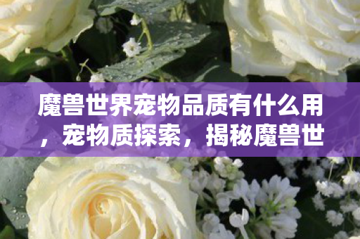 魔兽世界宠物品质有什么用，宠物质探索，揭秘魔兽世界宠物系统的魅力与奥秘