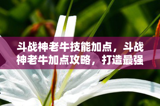 斗战神老牛技能加点，斗战神老牛加点攻略，打造最强战斗牛