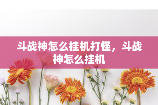 斗战神怎么挂机打怪，斗战神怎么挂机