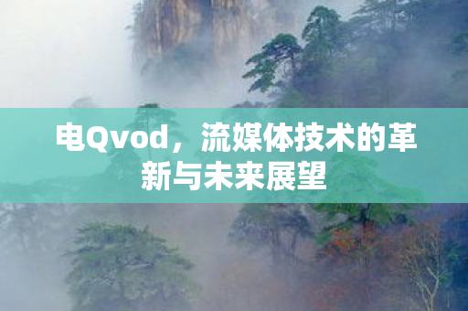 电Qvod，流媒体技术的革新与未来展望