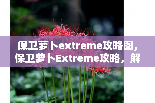 保卫萝卜extreme攻略图，保卫萝卜Extreme攻略，解锁隐藏关卡，打造最强防御线