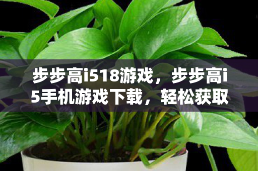 步步高i518游戏，步步高i5手机游戏下载，轻松获取丰富游戏资源