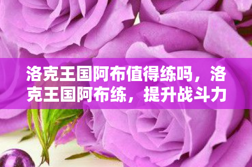 洛克王国阿布值得练吗，洛克王国阿布练，提升战斗力的关键策略