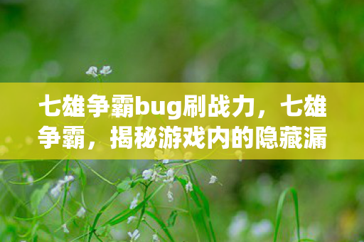 七雄争霸bug刷战力，七雄争霸，揭秘游戏内的隐藏漏洞与玩家应对策略