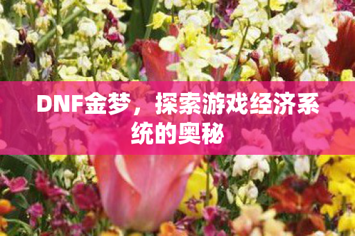 DNF金梦，探索游戏经济系统的奥秘