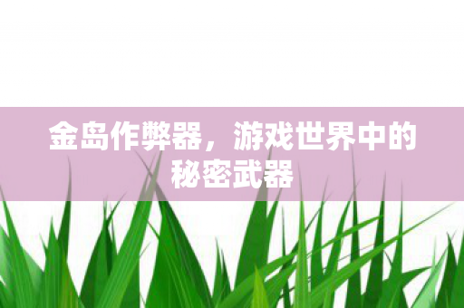 金岛作弊器，游戏世界中的秘密武器