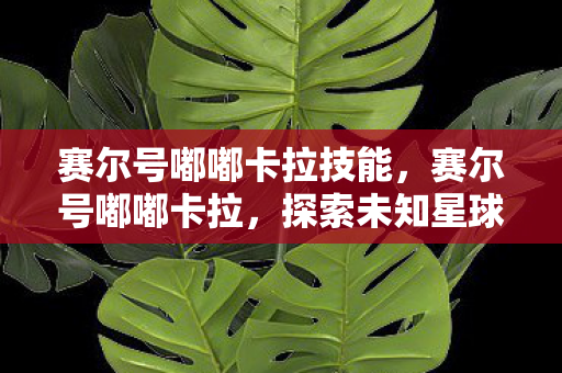 赛尔号嘟嘟卡拉技能，赛尔号嘟嘟卡拉，探索未知星球的奇幻之旅