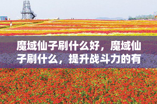 魔域仙子刷什么好，魔域仙子刷什么，提升战斗力的有效策略