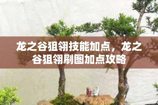 龙之谷狙翎技能加点，龙之谷狙翎刷图加点攻略