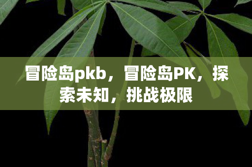 冒险岛pkb，冒险岛PK，探索未知，挑战极限