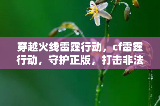 穿越火线雷霆行动，cf雷霆行动，守护正版，打击非法行为