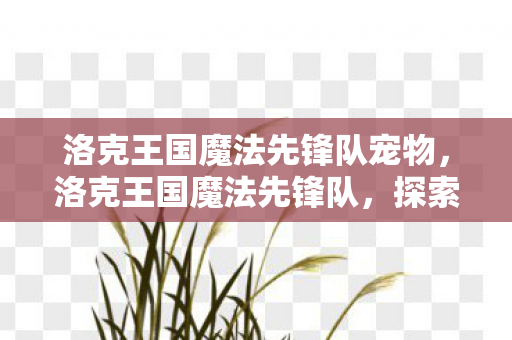洛克王国魔法先锋队宠物，洛克王国魔法先锋队，探索奇幻世界的奇妙冒险