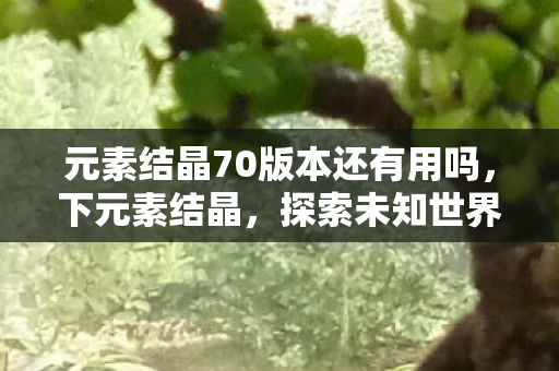 元素结晶70版本还有用吗，下元素结晶，探索未知世界的神秘钥匙