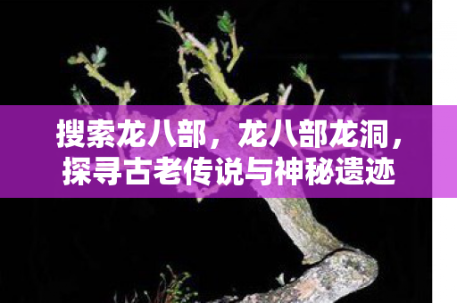 搜索龙八部，龙八部龙洞，探寻古老传说与神秘遗迹