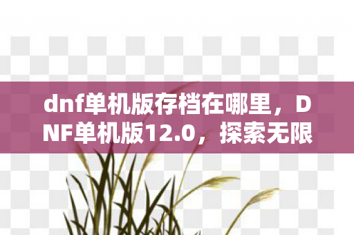 dnf单机版存档在哪里，DNF单机版12.0，探索无限可能的单机冒险
