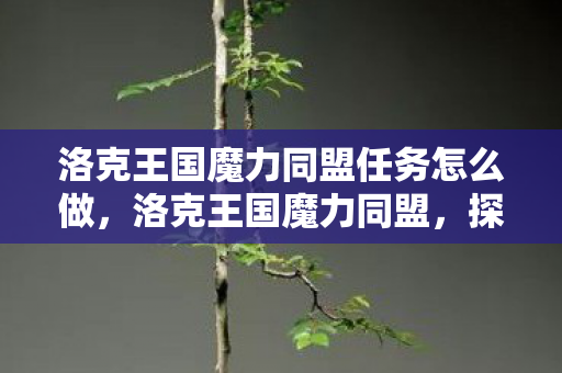 洛克王国魔力同盟任务怎么做，洛克王国魔力同盟，探索奇幻世界的奇妙之旅