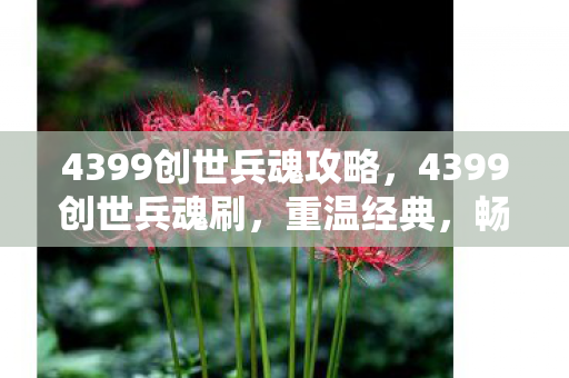 4399创世兵魂攻略，4399创世兵魂刷，重温经典，畅享无限战斗