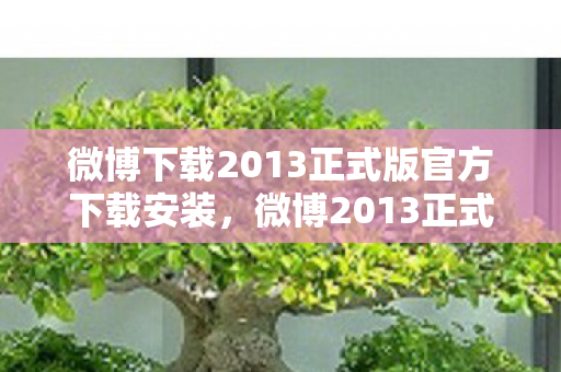 微博下载2013正式版官方下载安装，微博2013正式版官方下载，体验全新社交互动