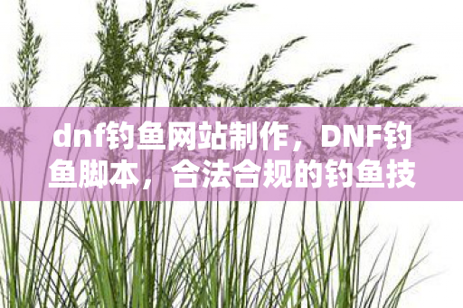 dnf钓鱼网站制作，DNF钓鱼脚本，合法合规的钓鱼技巧与策略