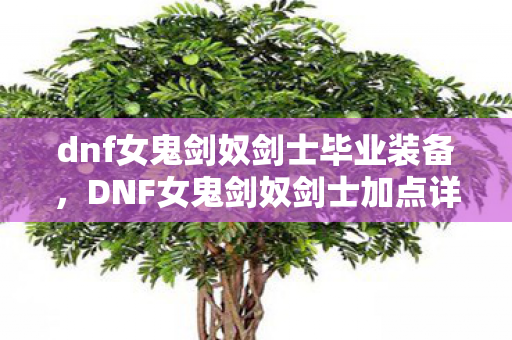 dnf女鬼剑奴剑士毕业装备，DNF女鬼剑奴剑士加点详解，打造高效战斗力的关键