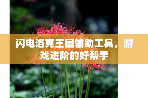 闪电洛克王国辅助工具，游戏进阶的好帮手