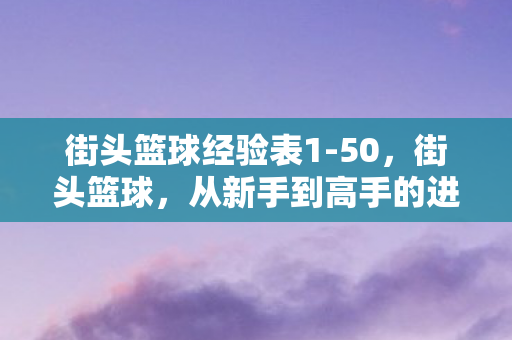 街头篮球经验表1-50，街头篮球，从新手到高手的进阶之路