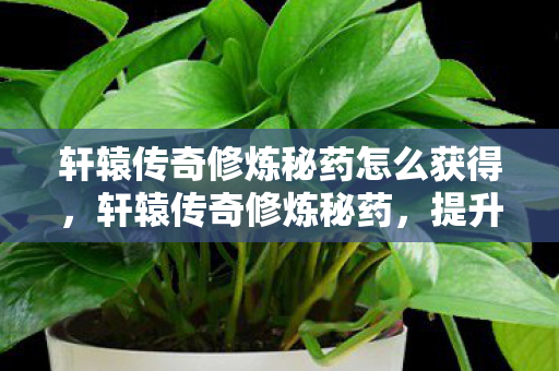 轩辕传奇修炼秘药怎么获得，轩辕传奇修炼秘药，提升角色实力的神秘药剂