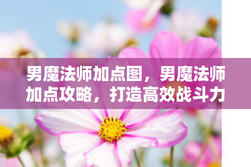 男魔法师加点图，男魔法师加点攻略，打造高效战斗力的关键