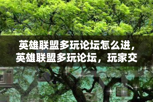 英雄联盟多玩论坛怎么进，英雄联盟多玩论坛，玩家交流的天堂