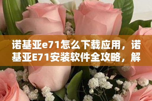 诺基亚e71怎么下载应用，诺基亚E71安装软件全攻略，解锁智能新体验