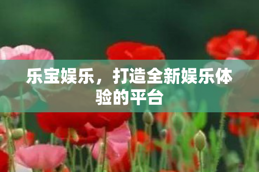 乐宝娱乐，打造全新娱乐体验的平台