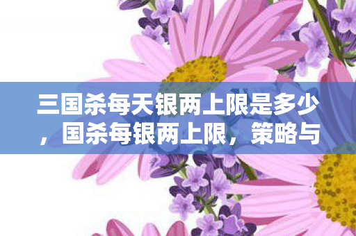 三国杀每天银两上限是多少，国杀每银两上限，策略与乐趣的平衡点