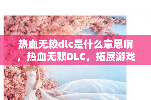 热血无赖dlc是什么意思啊，热血无赖DLC，拓展游戏世界的深度与广度