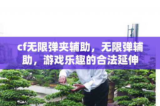 cf无限弹夹辅助，无限弹辅助，游戏乐趣的合法延伸