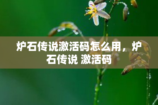 炉石传说激活码怎么用，炉石传说 激活码
