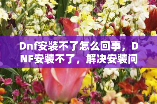 Dnf安装不了怎么回事，DNF安装不了，解决安装问题的全面指南