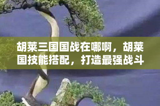 胡莱三国国战在哪啊，胡莱国技能搭配，打造最强战斗力的策略指南