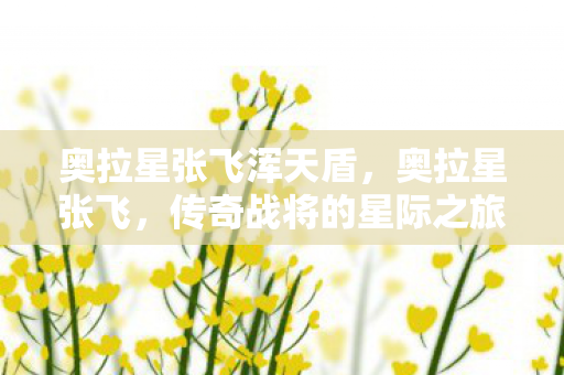 奥拉星张飞浑天盾，奥拉星张飞，传奇战将的星际之旅
