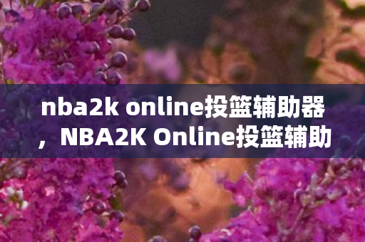 nba2k online投篮辅助器，NBA2K Online投篮辅助，提升你的球技，合法合规的玩法