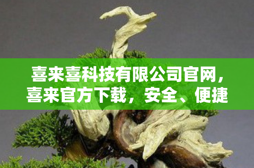 喜来喜科技有限公司官网，喜来官方下载，安全、便捷、高效的官方渠道体验