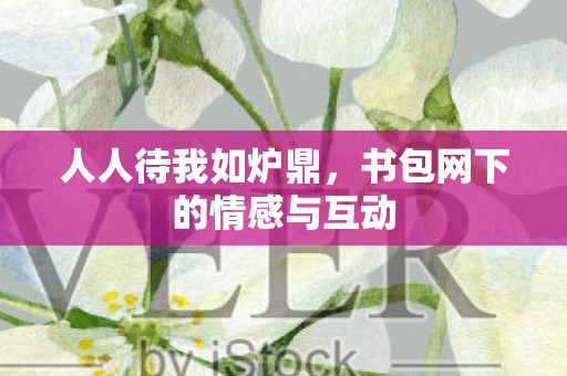 人人待我如炉鼎，书包网下的情感与互动