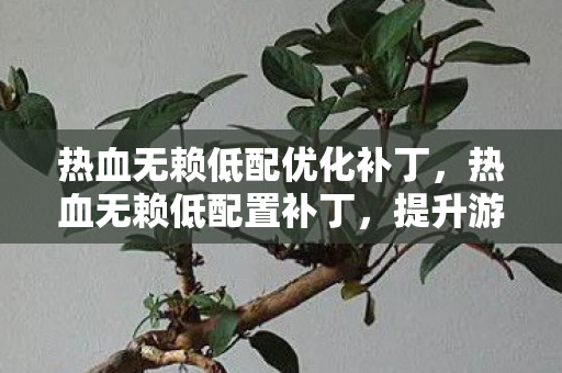 热血无赖低配优化补丁，热血无赖低配置补丁，提升游戏体验的利器