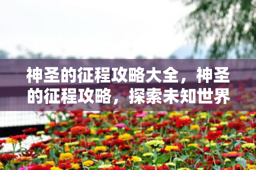 神圣的征程攻略大全，神圣的征程攻略，探索未知世界的策略与技巧