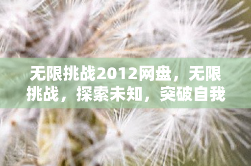 无限挑战2012网盘，无限挑战，探索未知，突破自我