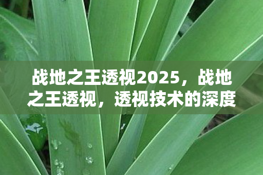 战地之王透视2025，战地之王透视，透视技术的深度解析与游戏公平性探讨
