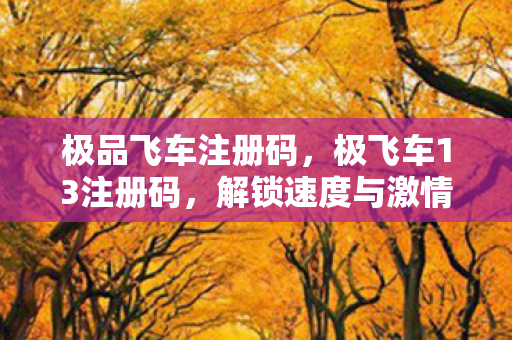 极品飞车注册码，极飞车13注册码，解锁速度与激情的密钥