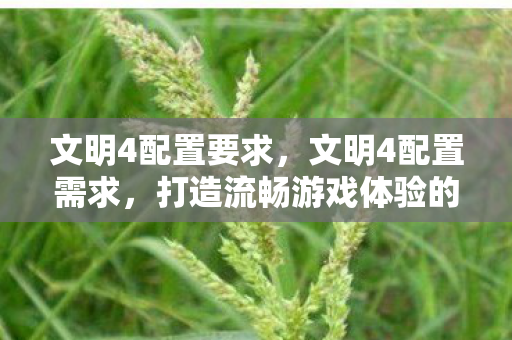 文明4配置要求，文明4配置需求，打造流畅游戏体验的硬件指南