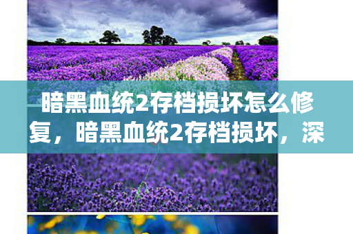 暗黑血统2存档损坏怎么修复，暗黑血统2存档损坏，深度解析与修复指南